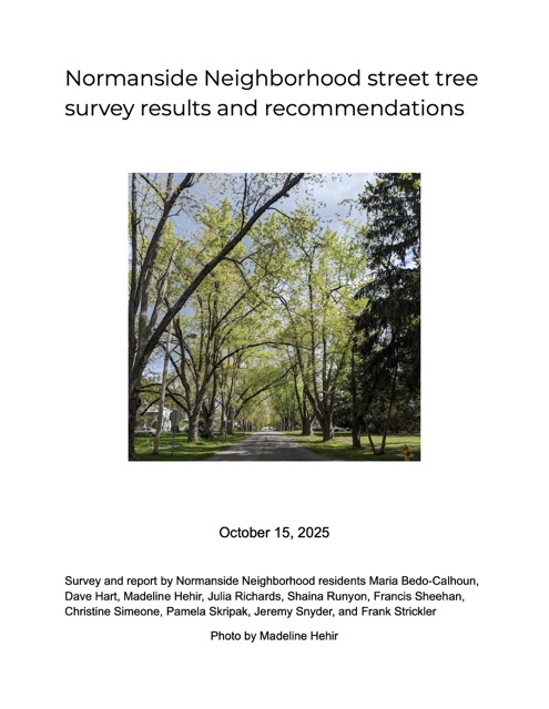 street tree report cover